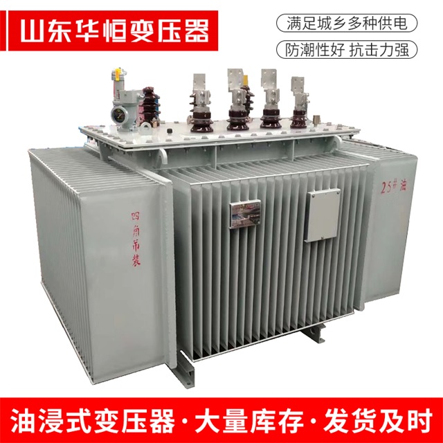S13-10000/35临洮临洮临洮电力变压器厂家