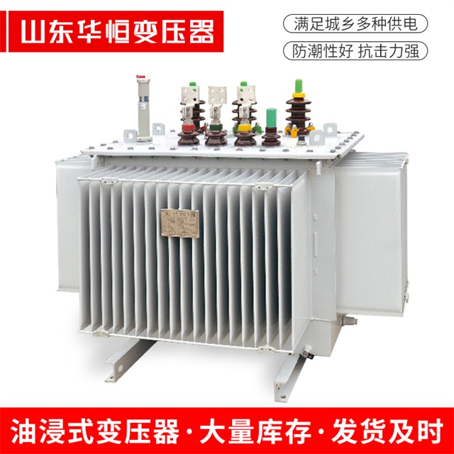 S13-10000/35临洮临洮临洮电力变压器
